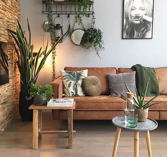 Salón Boho jungle